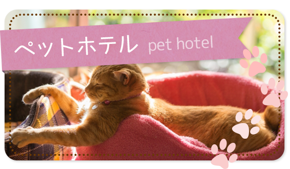 ペットホテル