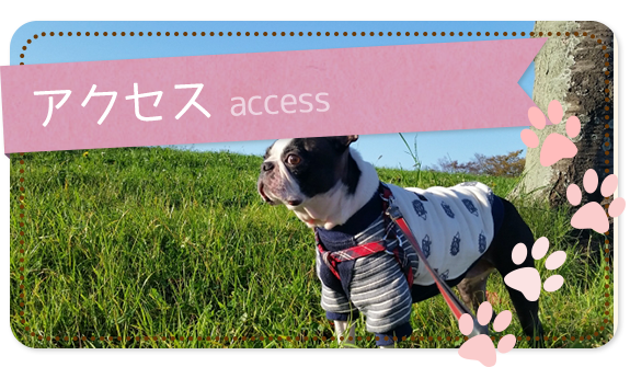アクセス