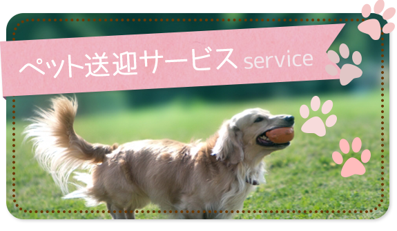 ペット送迎サービス