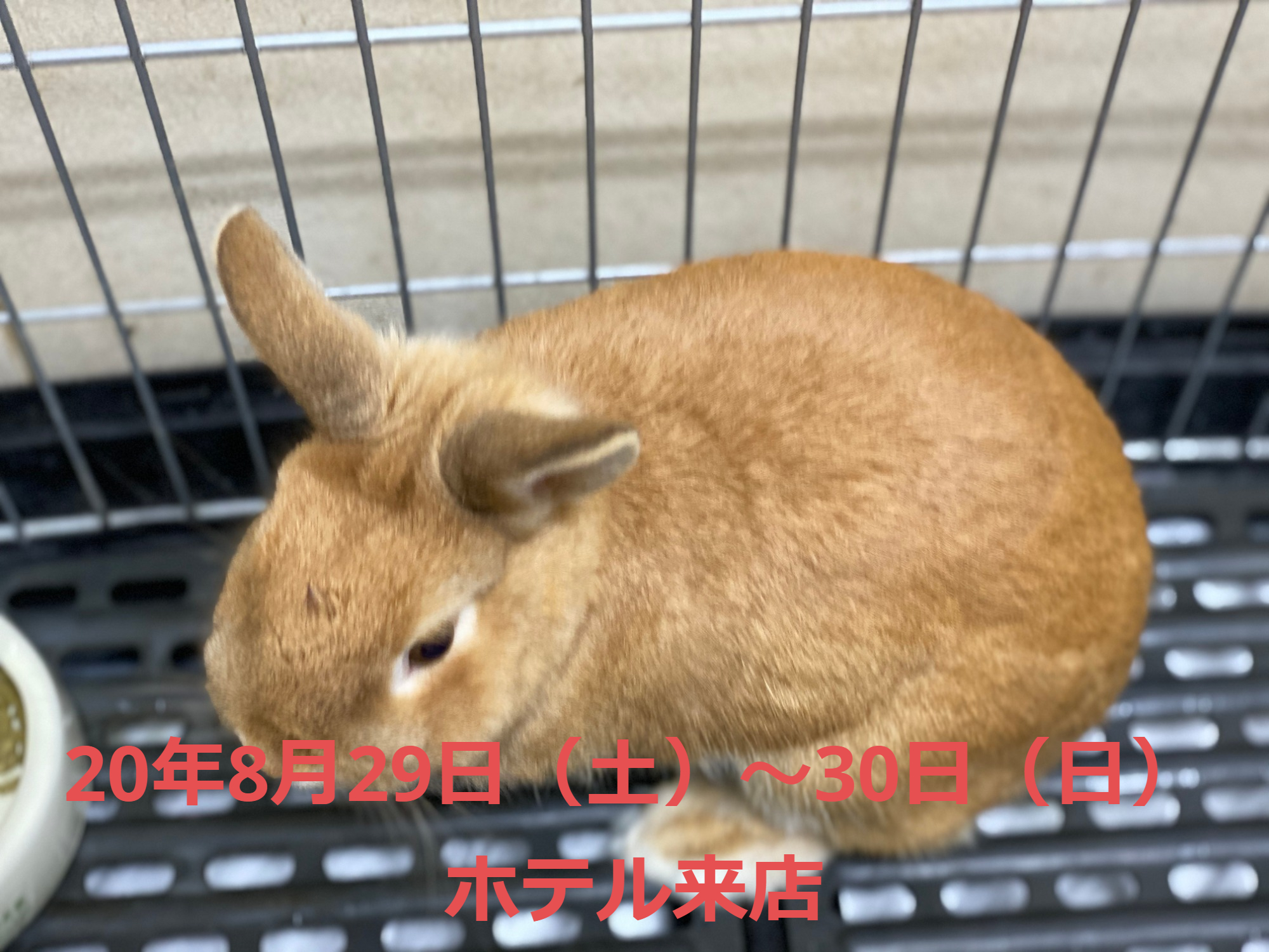 思い出ギャラリー
