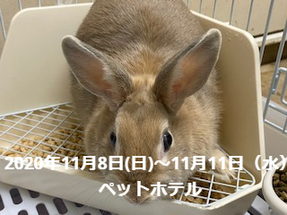 思い出ギャラリー