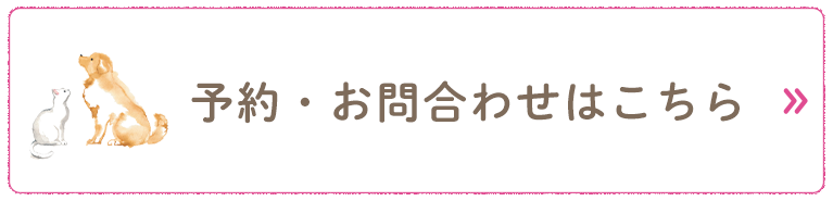 予約・問合せ