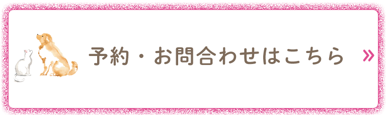 予約・お問合わせはこちら