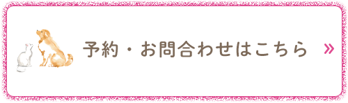 予約・お問合わせはこちら